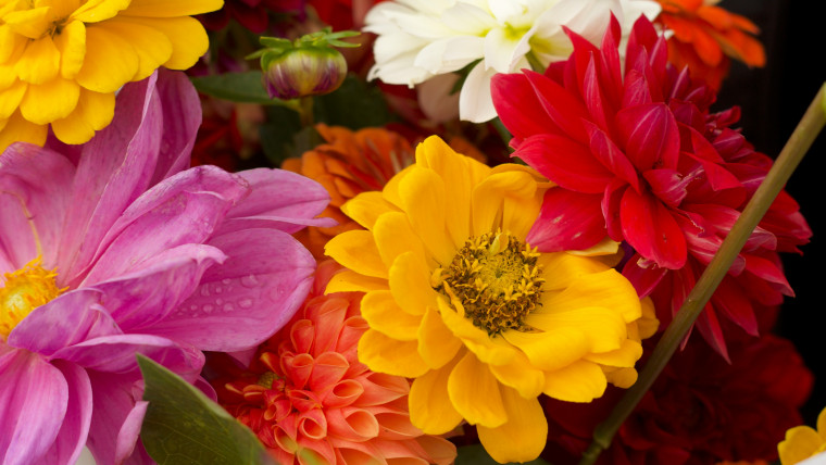 Seasonal Offerings